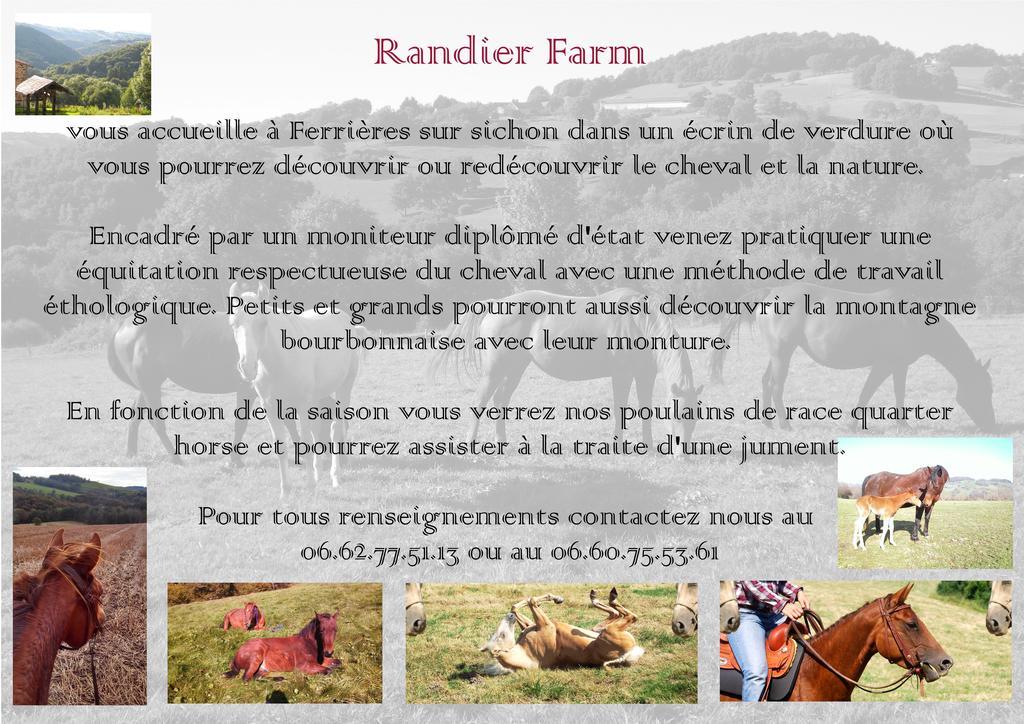 Domaine Du Randier Villa Ferrières-sur-Sichon Exterior foto
